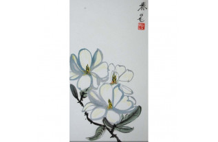 Witte magnolia – contour stijl