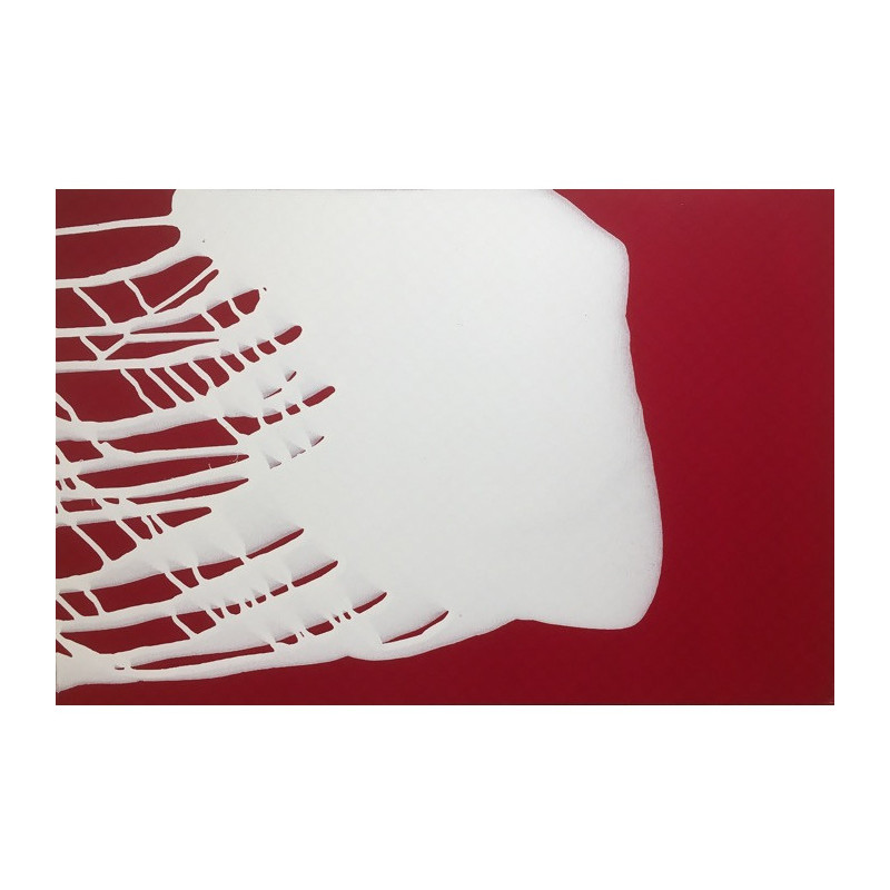 Geert Jan Jansen – Splash 9142 wit op rood