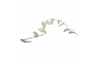 Feuilles en verre sur fil de fer – mouvement raffiné en verre et ligne