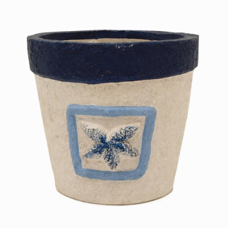Pot de fleur avec étoile de mer