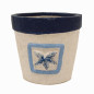 Flower pot with starfish