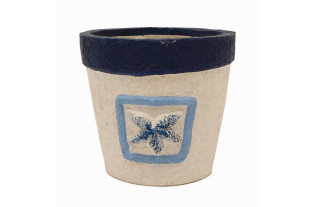 Flower pot with starfish