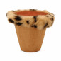 Pot de fleurs avec bord motif tigre – disponible en 10 cm et 16 cm
