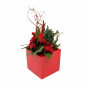 Rood bloemstuk in vierkante vaas – 20 x 20 cm