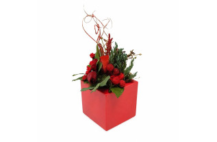 Rood bloemstuk in vierkante vaas – 20 x 20 cm
