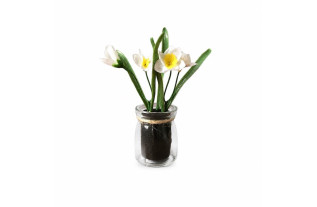 Glazen potje met witte narcissen | H. 16 cm
