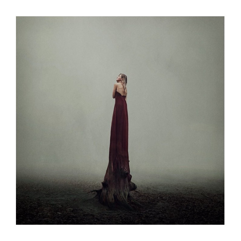 Artiste Photographe - Lieke Anna - Rooted Artiste Photographe - Lieke Anna - Rooted