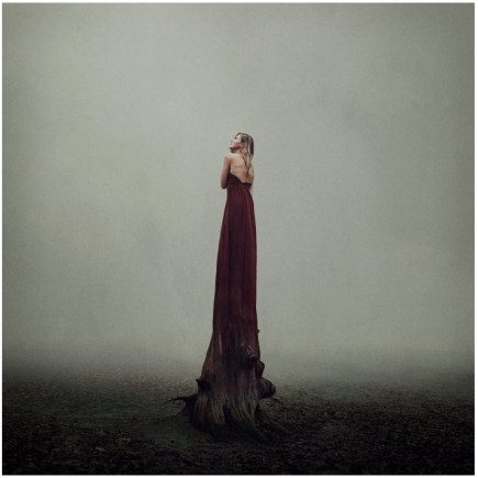 Artiste Photographe  - Lieke Anna  - Rooted