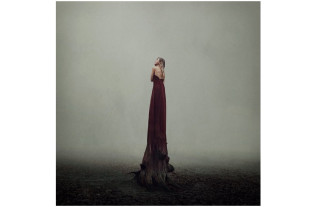 Photographic artist - Lieke Anna - Rooted