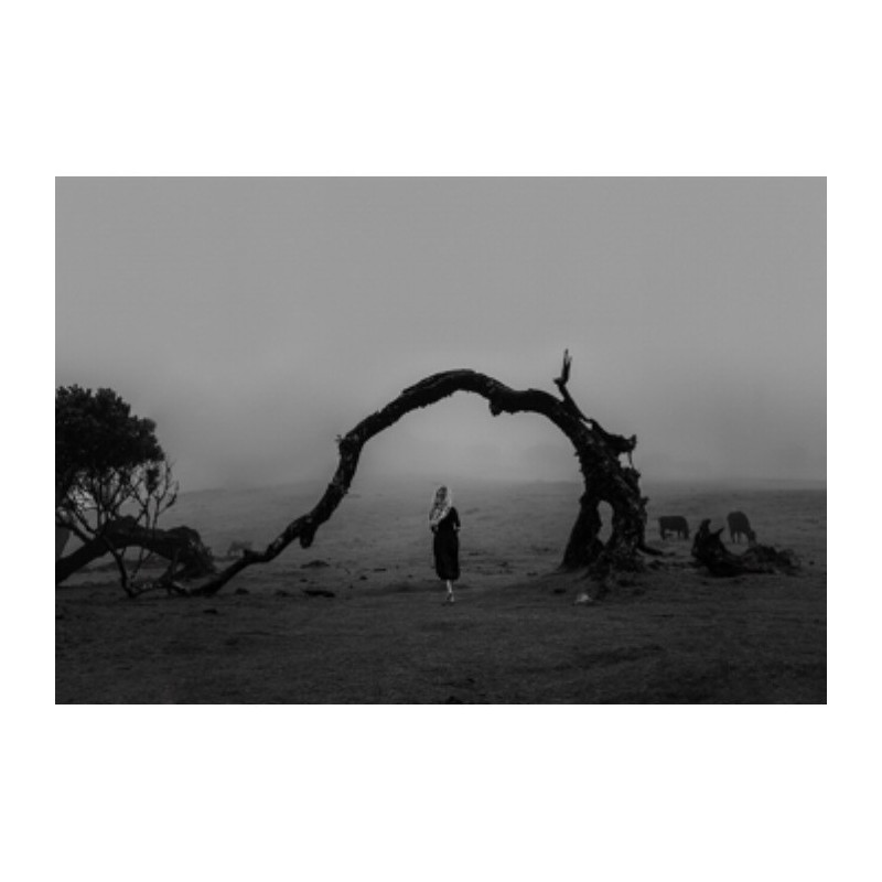 Artiste Photographe - Lieke Anna - wherever you go, there you are Artiste Photographe - Lieke Anna - wherever you go, there you are