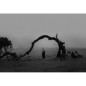 Fotografie - Lieke Anna - wherever you go,  there you are