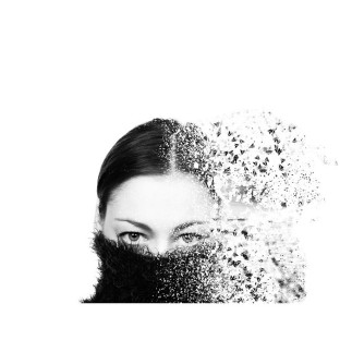 Artiste Photographe - Walter Haenen - Shattered