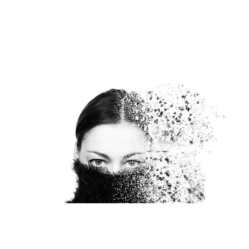 Artiste Photographe - Walter Haenen - Shattered Artiste Photographe - Walter Haenen - Shattered