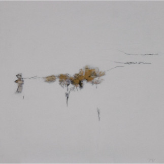 Unidentified life 11 Peintures Johan van Vilsteren