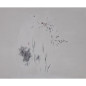 Unidentified life 12 Peintures Johan van Vilsteren
