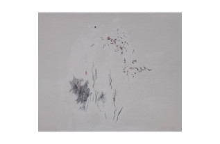 Unidentified life 12 Peintures Johan van Vilsteren