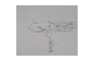 Unidentified life 14 Paintings by Johan van Vilsteren