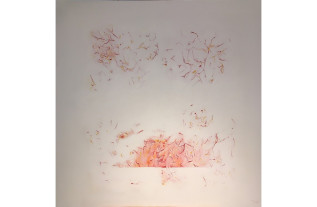 Unidentified life 3 Peintures Johan van Vilsteren