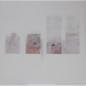 Unidentified life 5 Paintings by Johan van Vilsteren