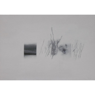 Unidentified life 6 Paintings by Johan van Vilsteren