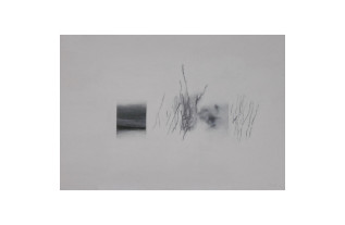 Unidentified life 6 Peintures Johan van Vilsteren