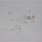 Unidentified life 8 Peintures Johan van Vilsteren