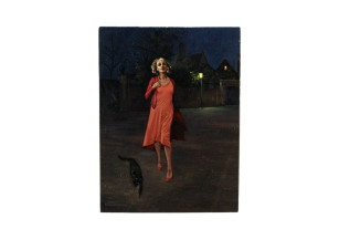Schilderijen van Roeland van der Kley - De Diva In De Nacht