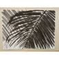 Palm 1 - Peintures Sylvia Radius