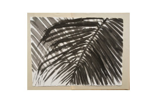 Palm 1 - Peintures Sylvia Radius