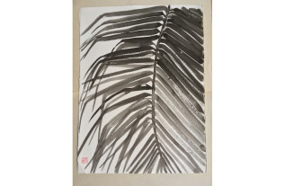Palm 2 - Peintures Sylvia Radius