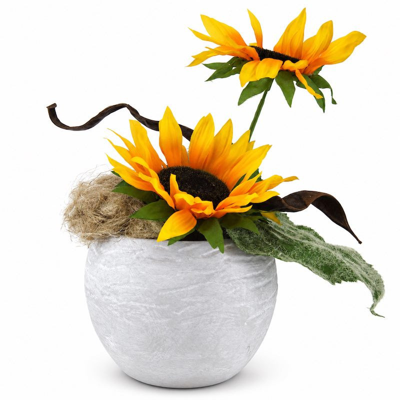 Sunflower arrangement in a round concrete-effect pot