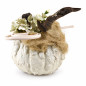 Citrouille décorative Cyprus White avec fleurs Citrouille décorative Cyprus White avec fleurs