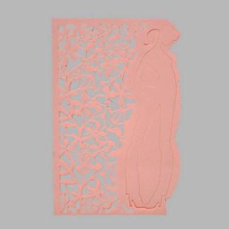 pochoir de fleurs et fille transparent 15 x 21 cm lavable