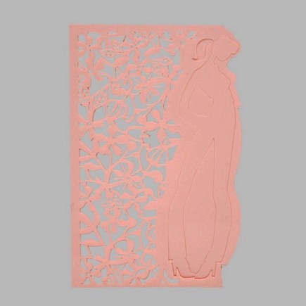 pochoir de fleurs et fille transparent 15 x 21 cm lavable