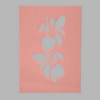 pochoir de pommes transparent 15 x 21 cm lavable