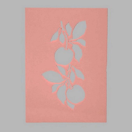 pochoir de pommes transparent 15 x 21 cm lavable