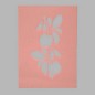 apples stencil transparent 15 x 21 cm washable