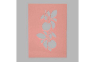 pochoir de pommes transparent 15 x 21 cm lavable