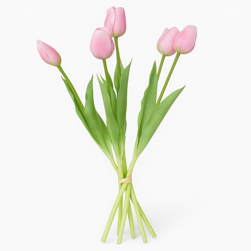 Bouquet de Tulipes Roses Bouquet de Tulipes Roses