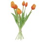 Boeket Oranje Tulpen