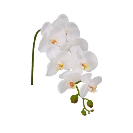 Orchidée Blanche en Soie – Élégance Sans Entretien