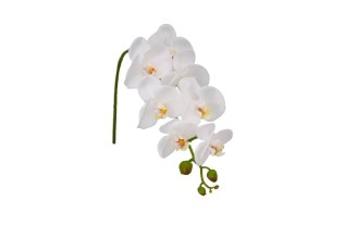 White silk orchid – refined artificial flower