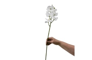 Orchidée Blanche en Soie – Élégance Sans Entretien