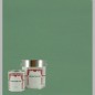 Professional lacquer paint satin VENETIAN GREEN DECORATION PAINT