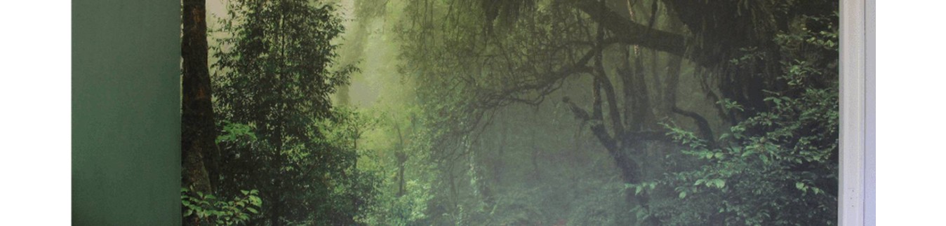 Papier Peint Photo sur Mesure ou Personnel | Decoration