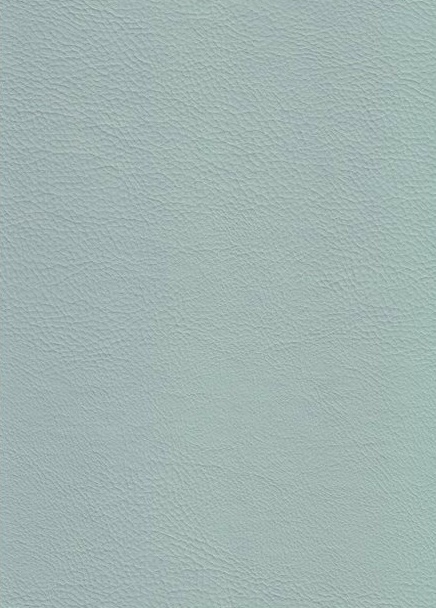 Simili Cuir Casper Bleu