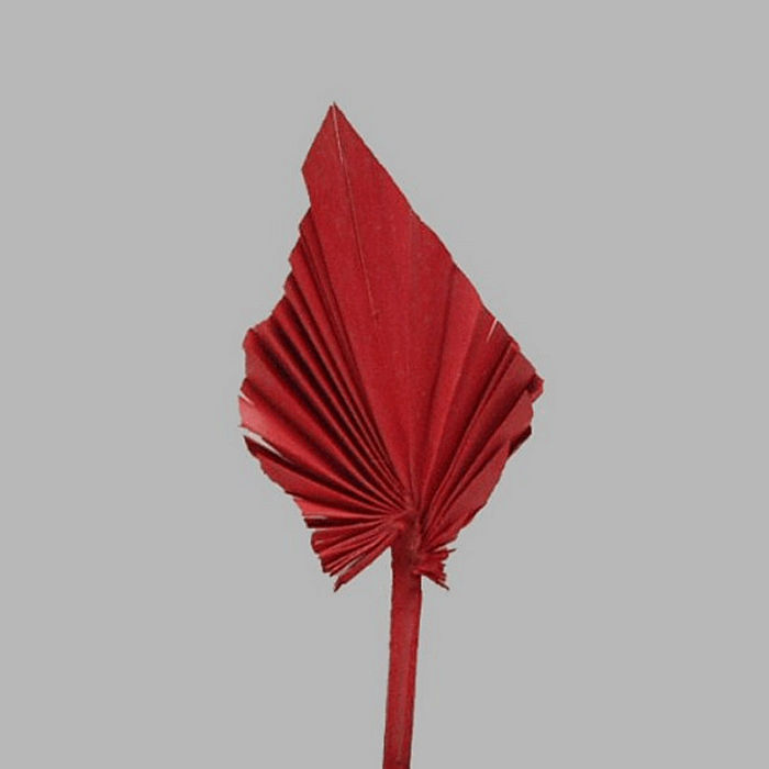 chinois fan feuille sur un bâton couleur rouge 26 x 10 cm 2 stuks