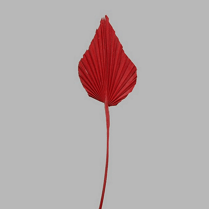 waaier blad op een stok kleur rood 47 x 10 cm