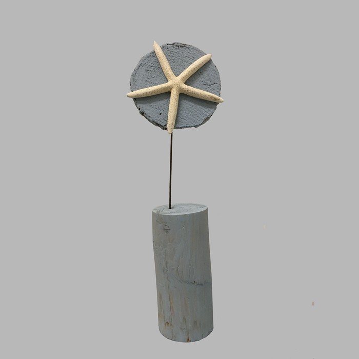 Starfish on painted wood in Casper bleu