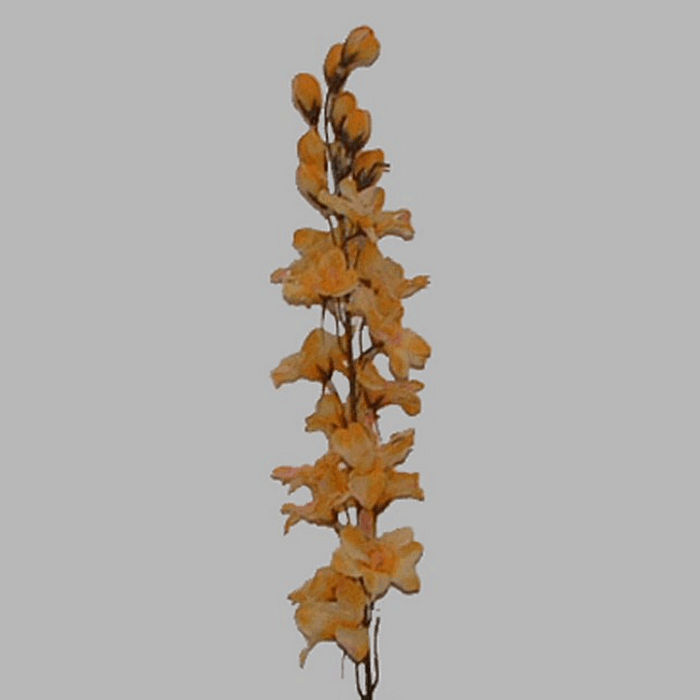 bloem van zijde delphinium geel 90 cm lang l